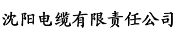 国产精品久久大香蕉电缆厂logo